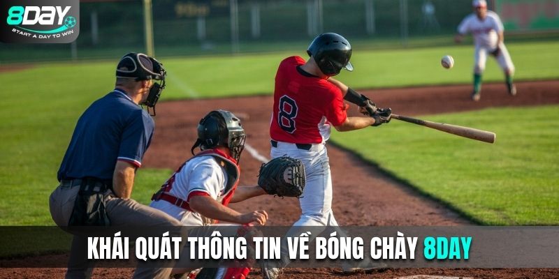 Khái quát thông tin về bóng chày 8DAY