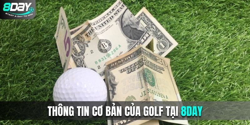 Thông tin cơ bản của golf tại 8DAY