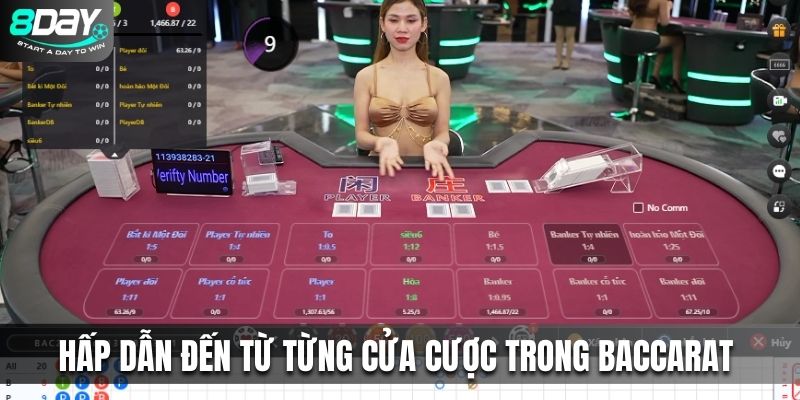 Dự đoán Baccarat theo từng cửa cược