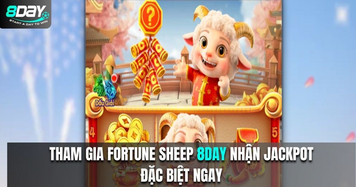 FORTUNE SHEEP 8DAY