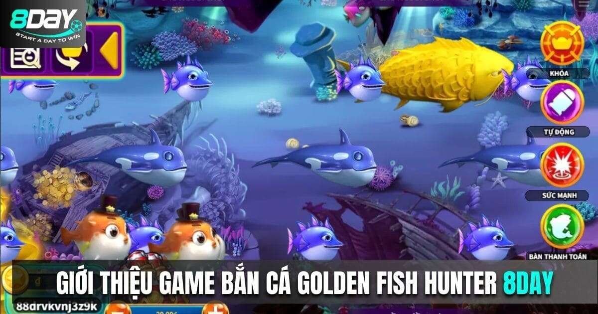 Golden Fish Hunter 8DAY