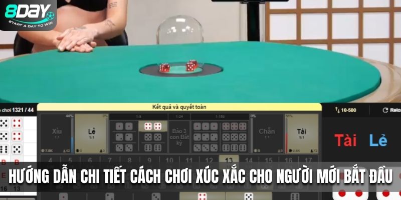 Hướng dẫn chi tiết cách chơi xúc xắc cho người mới bắt đầu