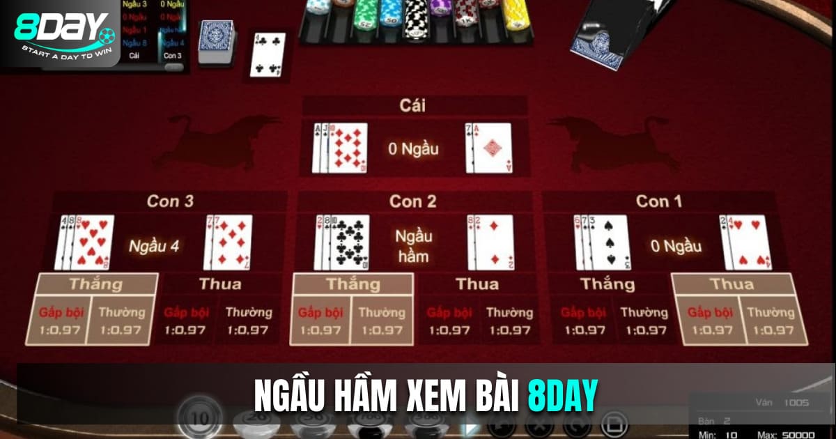 Ngầu Hầm Xem Bài 8DAY